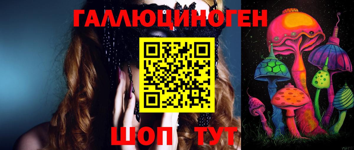 Нерюнгри  Псилоцибиновые грибы Psilocybe  Псилоцибиновые грибы мицелий  Вход с VPN 