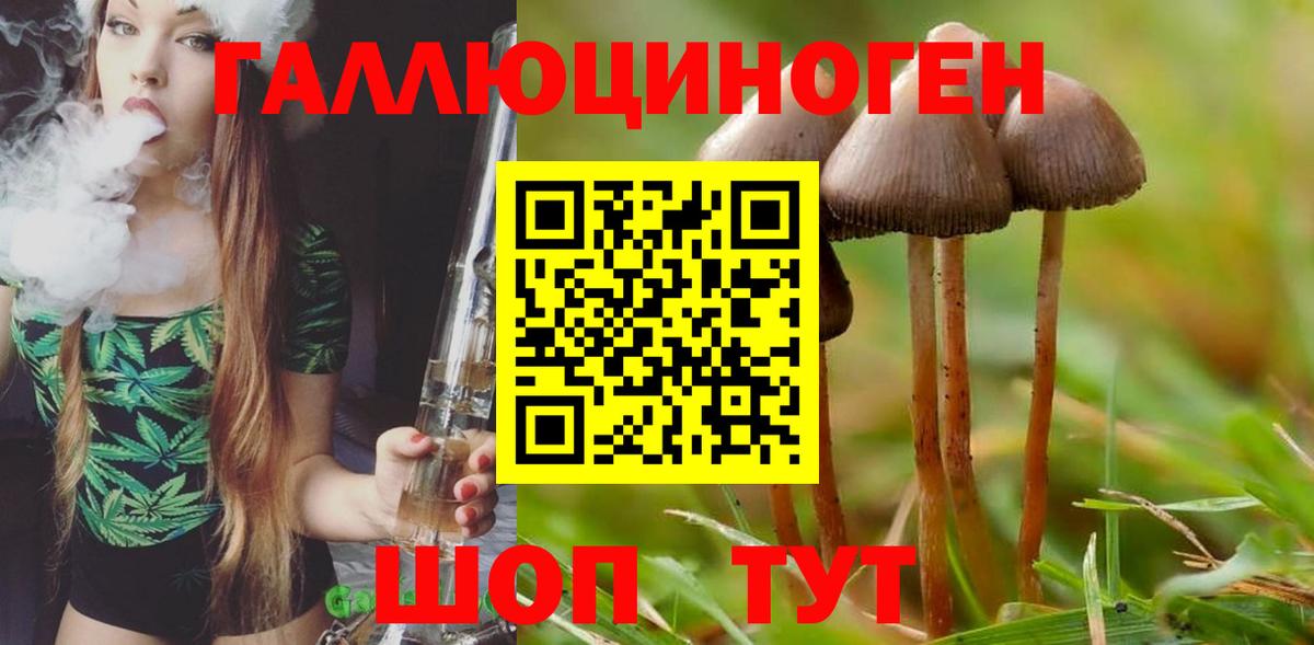 Галлюциногенные грибы GOLDEN TEACHER Нерюнгри